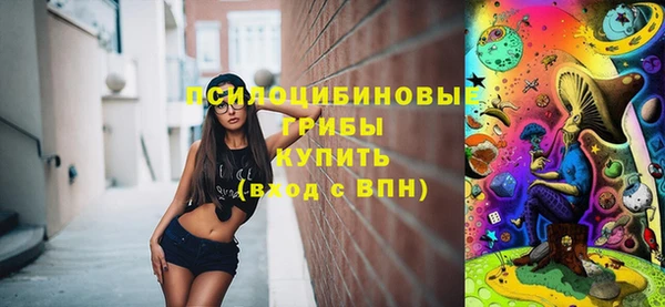Альфа ПВП Магас