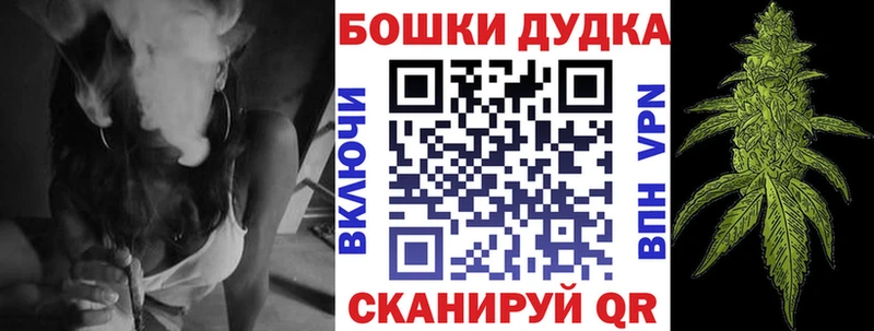 Каннабис планчик  Пойковский 